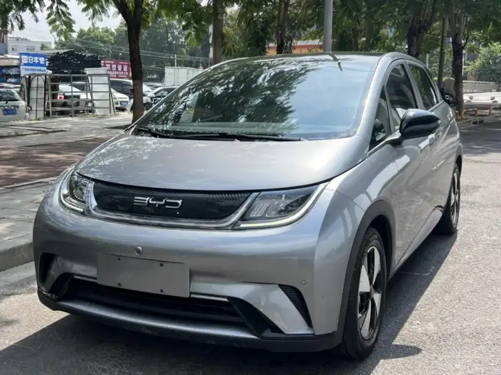 BYD Dolphin 2023 Model Fashion Edition