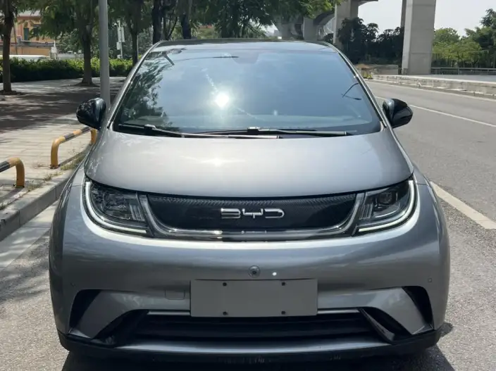 BYD Dolphin 2023 Model Fashion Edition