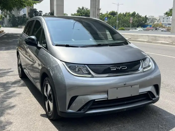 BYD Dolphin 2023 Model Fashion Edition