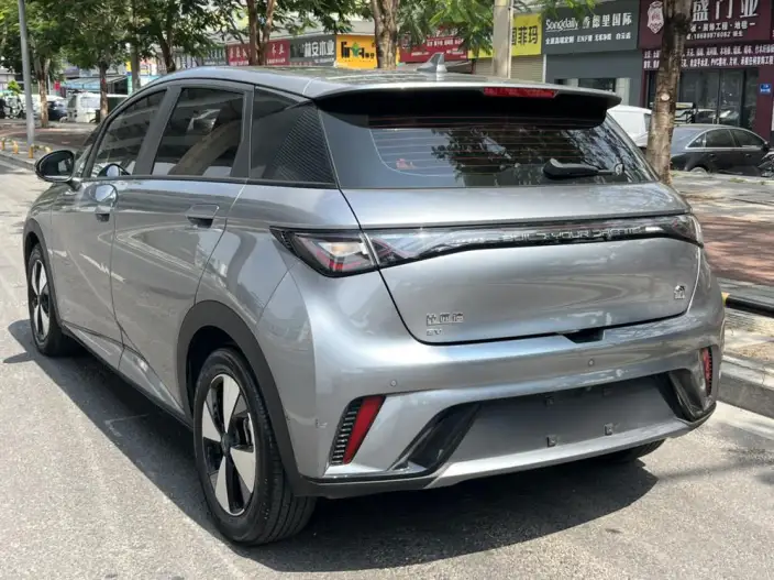 BYD Dolphin 2023 Model Fashion Edition