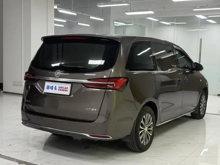 Buick GL8 2023 Model Business class 2.0T Comfort Model – фото 6