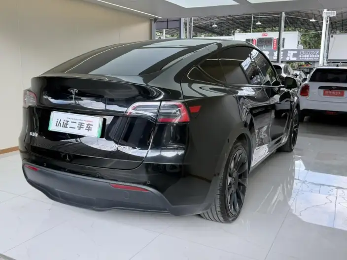 Model Y 2023 Model Rear-wheel drive version – фото 6