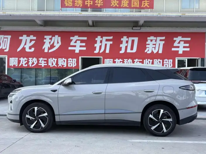 Sea Lion 06DM 2025 Model DM-i 205KM Pilot Plus Edition