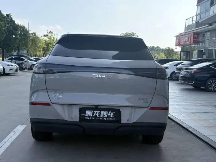 Sea Lion 06DM 2025 Model DM-i 205KM Pilot Plus Edition