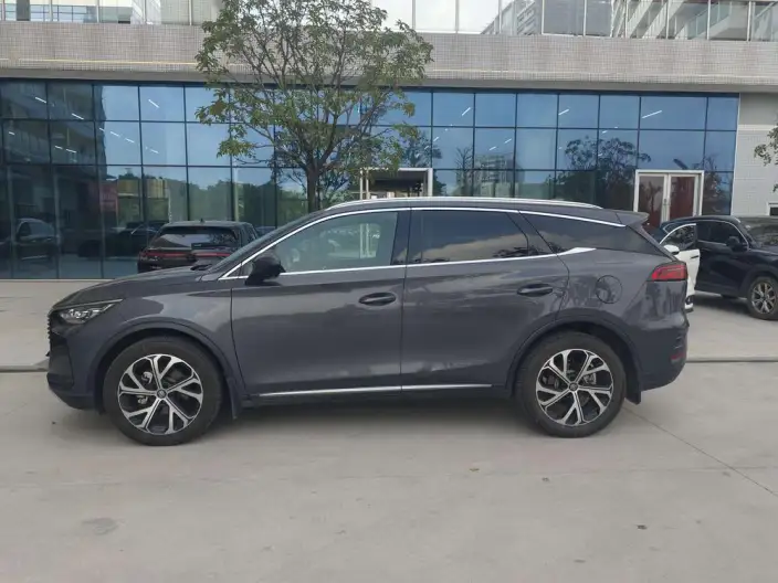 BYD Tang DM 2025 Model DM-i 115KM Zunrong Model