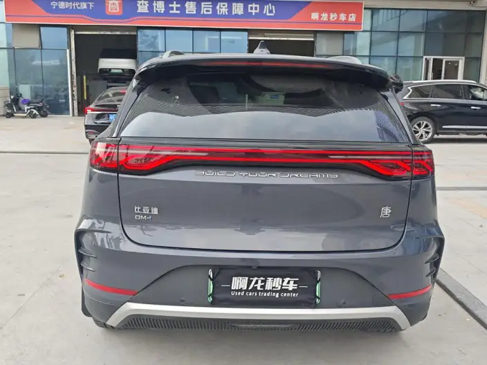 BYD Tang DM 2025 Model DM-i 115KM Zunrong Model