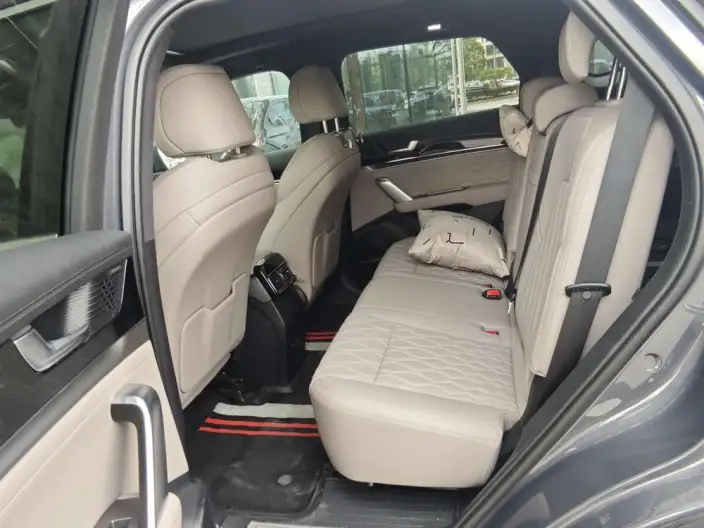 BYD Tang DM 2025 Model DM-i 115KM Zunrong Model – фото 9