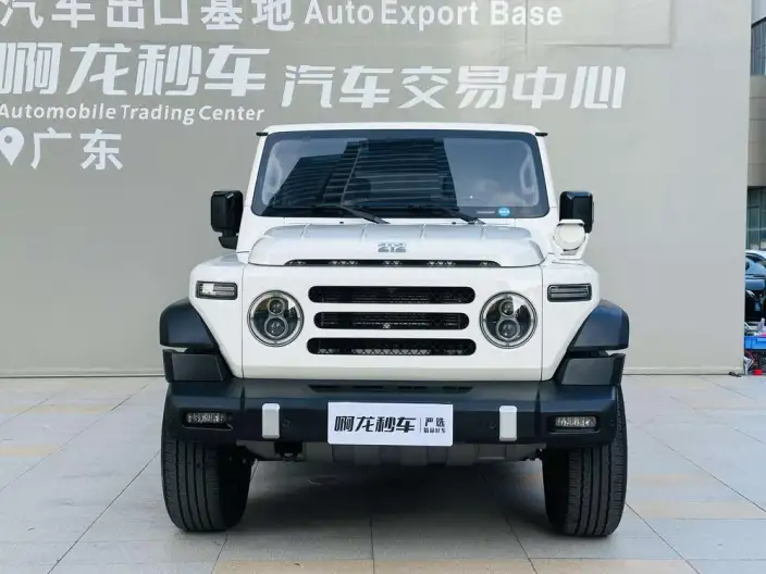 212 T01 2025 Model 2.0T Diesel Edition – фото 2