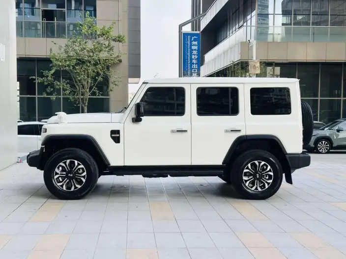 212 T01 2025 Model 2.0T Diesel Edition – фото 4