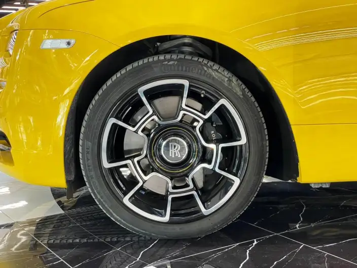 Wraith 2018 Model 6.6T Standard Model – фото 10