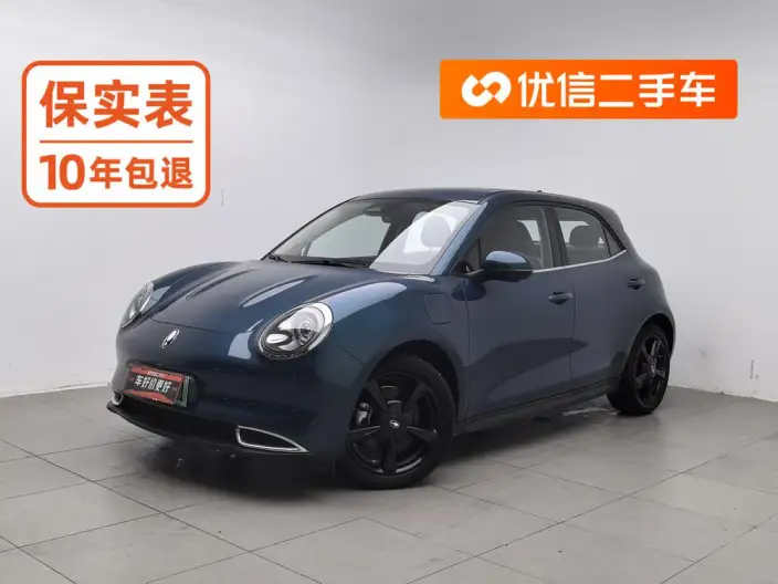 ORA Good Cat 2024 Model 401km Luxury Model