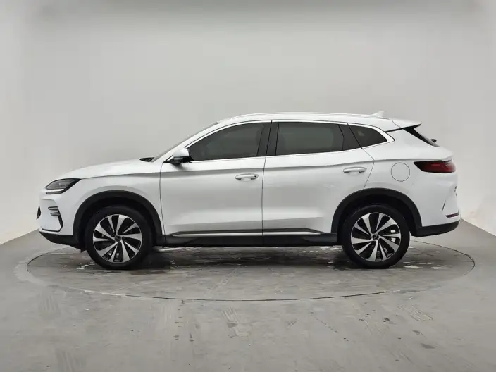 BYD Song PLUS EV 2024 Model Honor Edition 520KM Noble Model – фото 4