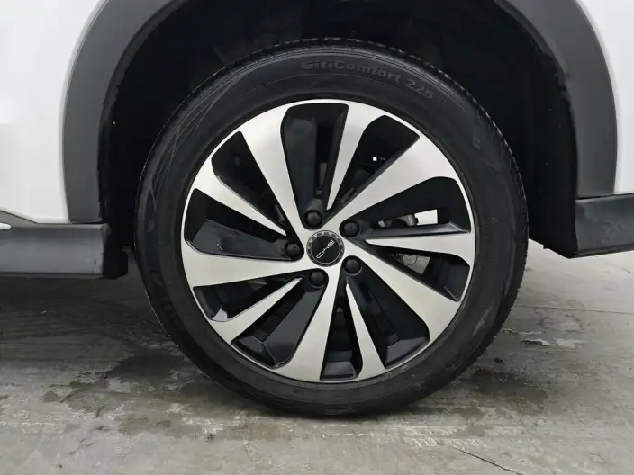 BYD Song PLUS EV 2024 Model Honor Edition 520KM Noble Model – фото 9