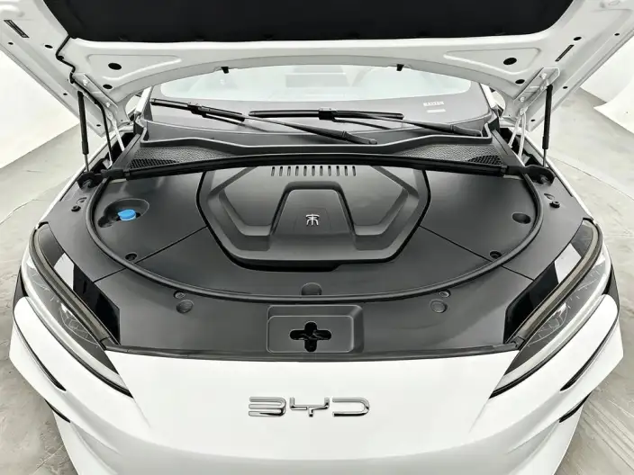 BYD Song PLUS EV 2024 Model Honor Edition 520KM Noble Model – фото 10