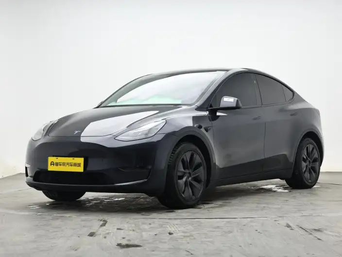 Model Y 2024 Model Long Battery Life Pro All-wheel drive version – фото 1