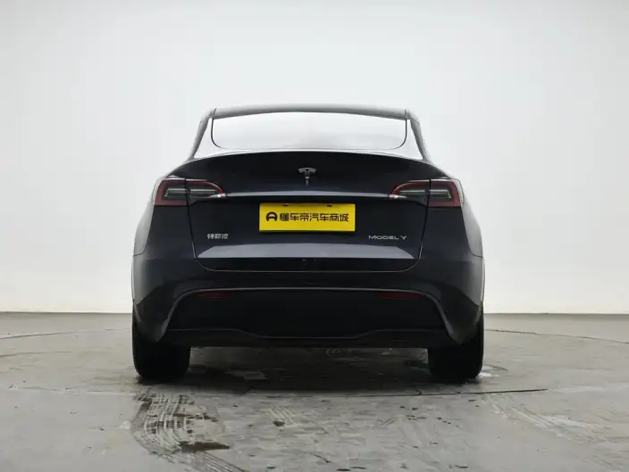 Model Y 2024 Model Long Battery Life Pro All-wheel drive version – фото 6