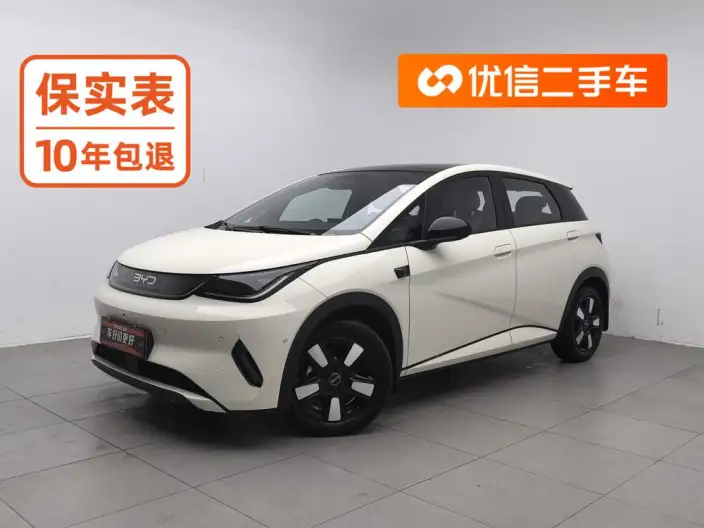 BYD Dolphin 2025 Model Smart Driving Edition 410KM Fashion Edition – фото 1