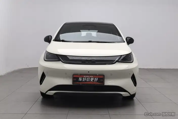 BYD Dolphin 2025 Model Smart Driving Edition 410KM Fashion Edition – фото 2