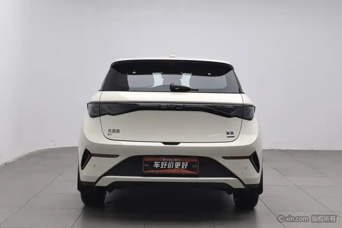 BYD Dolphin 2025 Model Smart Driving Edition 410KM Fashion Edition – фото 3