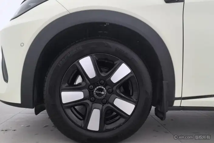 BYD Dolphin 2025 Model Smart Driving Edition 410KM Fashion Edition – фото 9