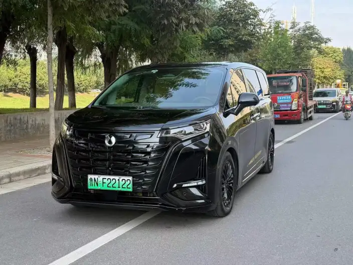DENZA D9 DM 2022 Model 970 4WD Flagship Model