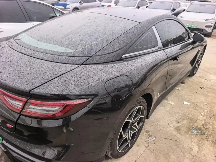 Neta GT 2023 Model 560 Lite Edition – фото 5