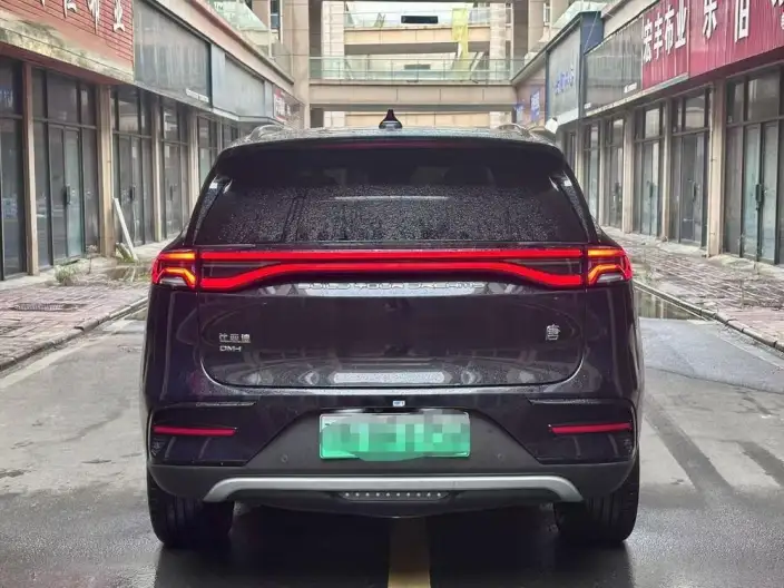 BYD Tang DM 2024 Model Honor Edition DM-i 112KM Zunrong Model – фото 3