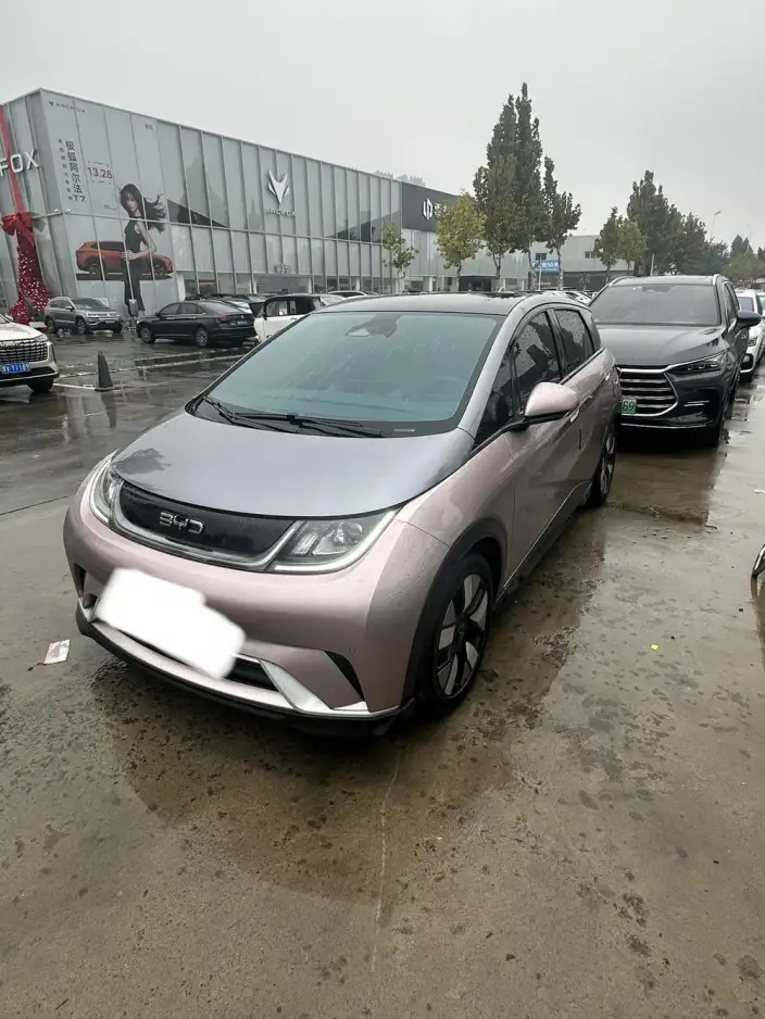 BYD Dolphin 2024 Model Honor Edition 401km Knight Edition – фото 1
