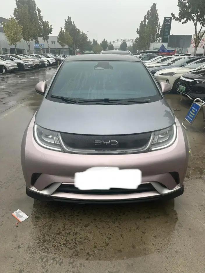 BYD Dolphin 2024 Model Honor Edition 401km Knight Edition – фото 2