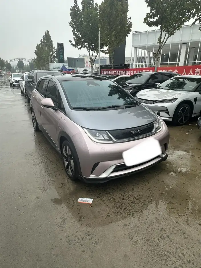 BYD Dolphin 2024 Model Honor Edition 401km Knight Edition – фото 3