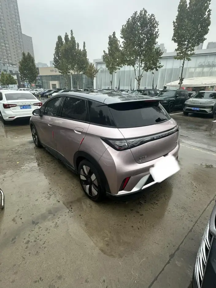 BYD Dolphin 2024 Model Honor Edition 401km Knight Edition – фото 4