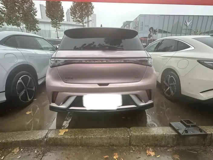 BYD Dolphin 2024 Model Honor Edition 401km Knight Edition – фото 5