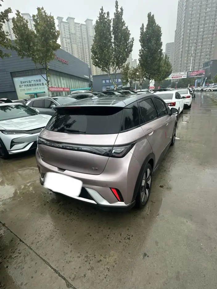 BYD Dolphin 2024 Model Honor Edition 401km Knight Edition – фото 6