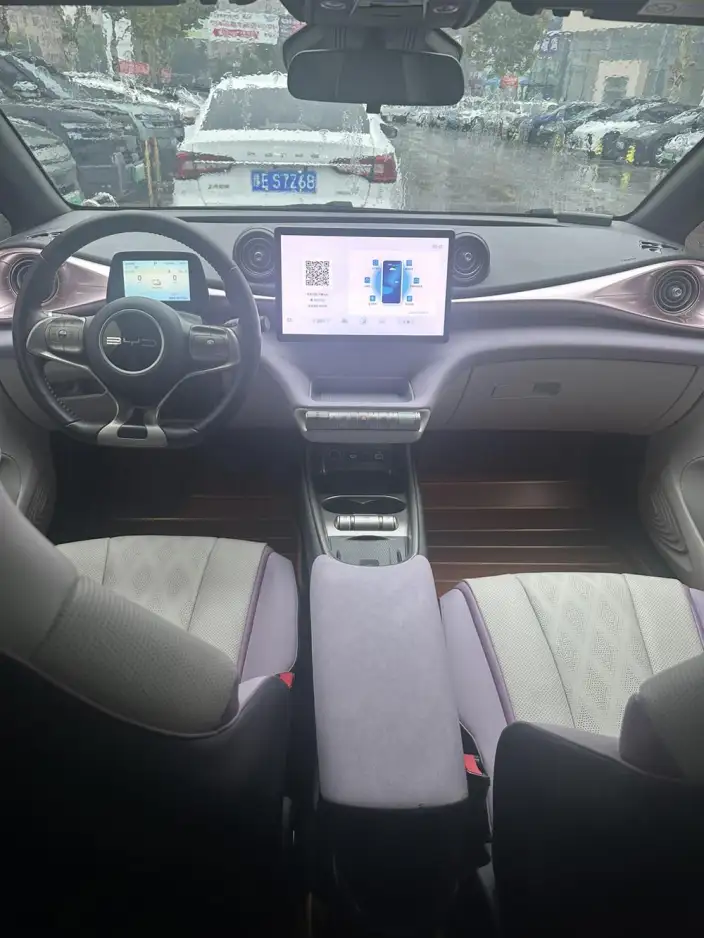 BYD Dolphin 2024 Model Honor Edition 401km Knight Edition – фото 7