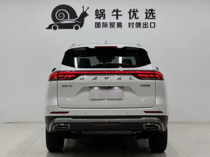 Haval H6 2021 Model Guo Trendy Edition 1.5T Automatic Champion Edition – фото 5