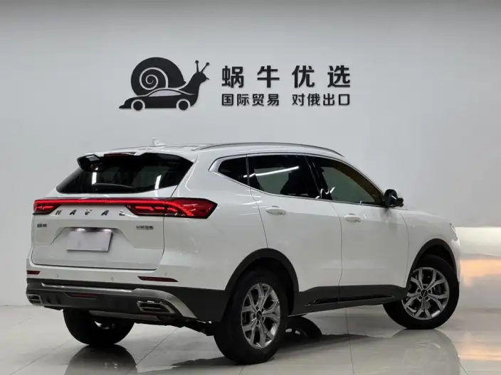 Haval H6 2021 Model Guo Trendy Edition 1.5T Automatic Champion Edition – фото 6