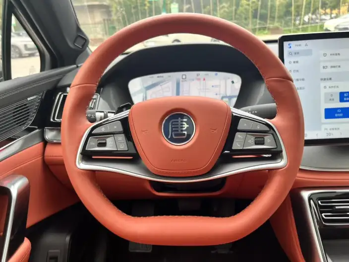 BYD Tang DM 2025 Model Smart Driving Edition DM-i 115KM Zunrong Model – фото 10
