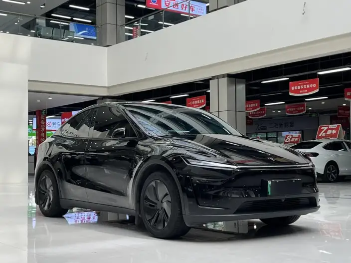 Model Y 2025 Model Facelift Long Battery Life Pro All-wheel drive version – фото 2