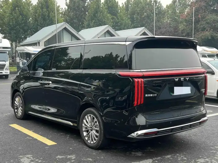 Wey Gaoshan P HEV 2025 Model 4WD Wey Gaoshan 8