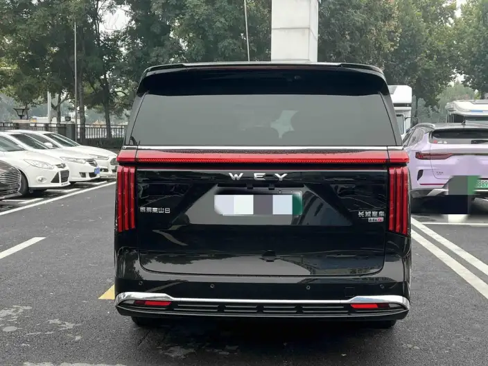 Wey Gaoshan P HEV 2025 Model 4WD Wey Gaoshan 8 – фото 5
