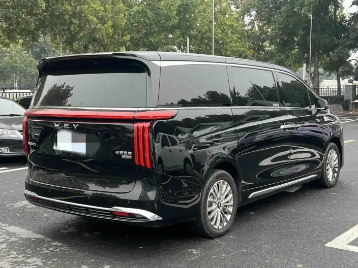 Wey Gaoshan P HEV 2025 Model 4WD Wey Gaoshan 8 – фото 6