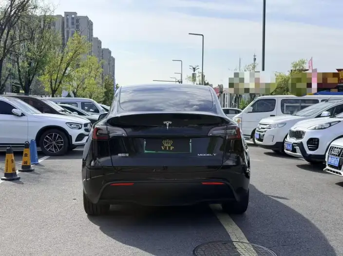 Model Y 2024 Model Rear-wheel drive version – фото 5