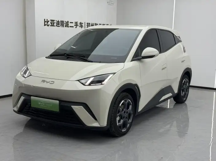 BYD Seagull 2025 Model 305KM Free Edition – фото 1