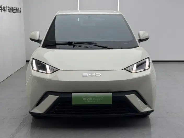BYD Seagull 2025 Model 305KM Free Edition – фото 2