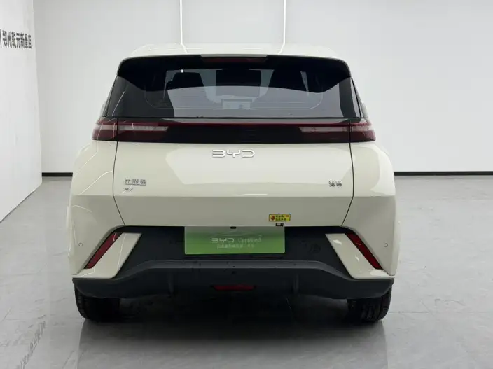 BYD Seagull 2025 Model 305KM Free Edition – фото 3