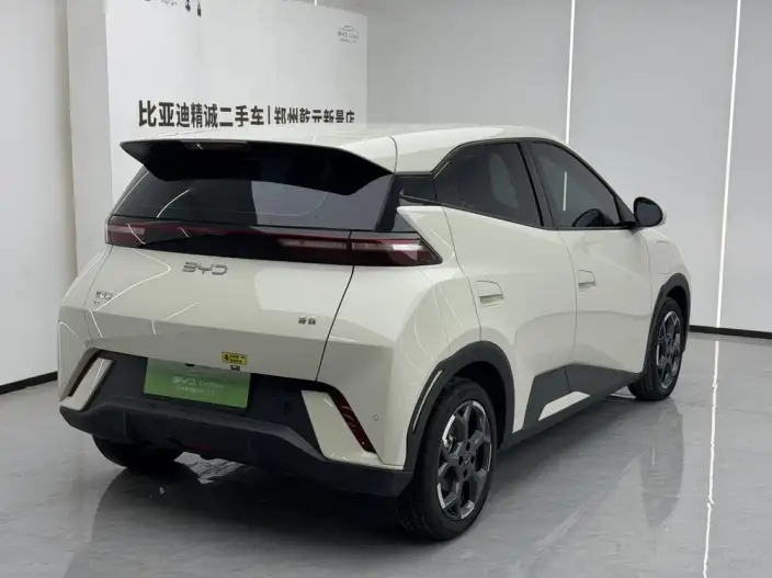 BYD Seagull 2025 Model 305KM Free Edition – фото 4