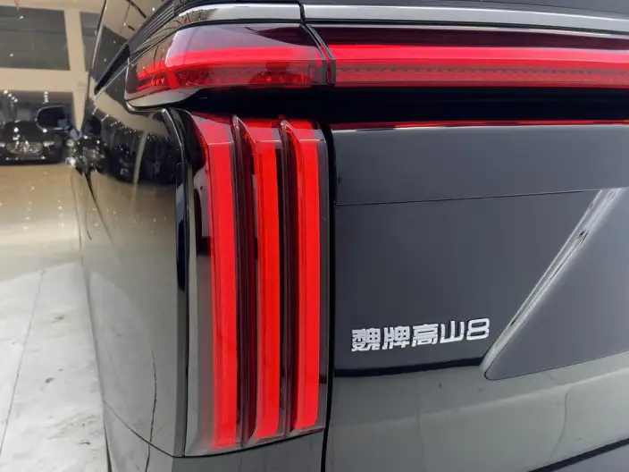 Wey Gaoshan P HEV 2025 Model 4WD Wey Gaoshan 8 – фото 8
