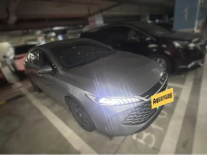 BYD Qin PLUS DM 2025 Model Smart Driving Edition DM-i 55KM Leading Model – фото 3