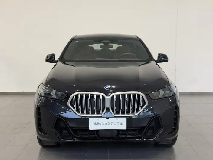BMW X6 2023 Model Facelift xDrive30i M Sports Set – фото 2