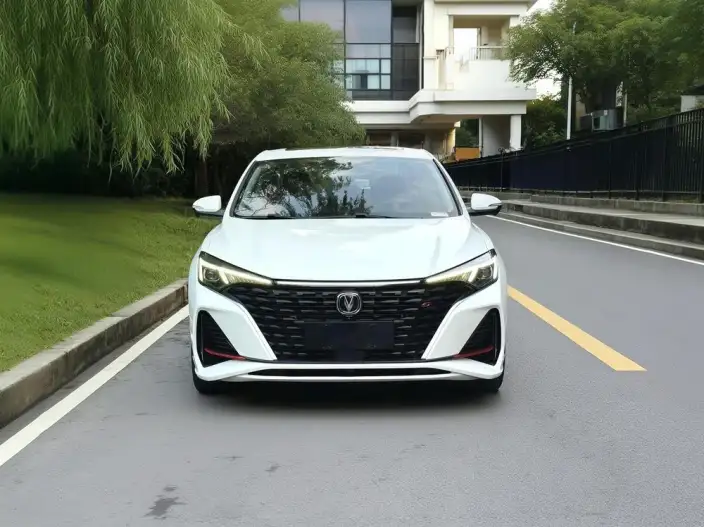 Changan Eado 2023 Model PLUS Changxiang Edition Blue whale NE 1.4T GDI DCT Noble Model